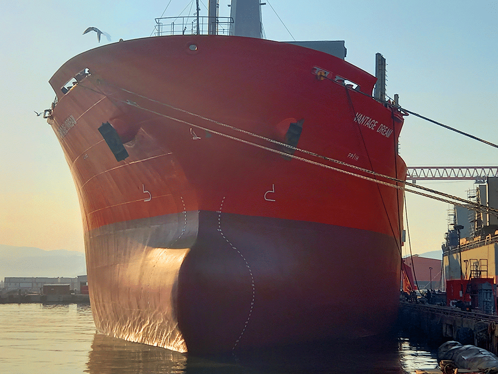 Vantage Shipping Lines S.A.